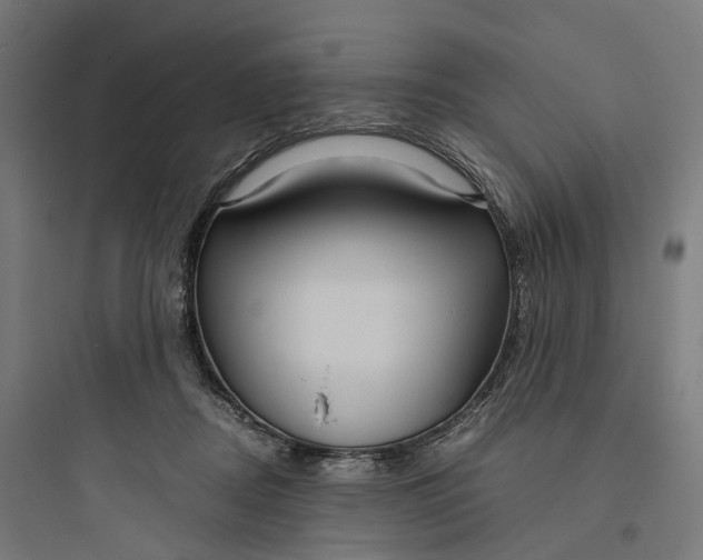 X0000093770362200711061140