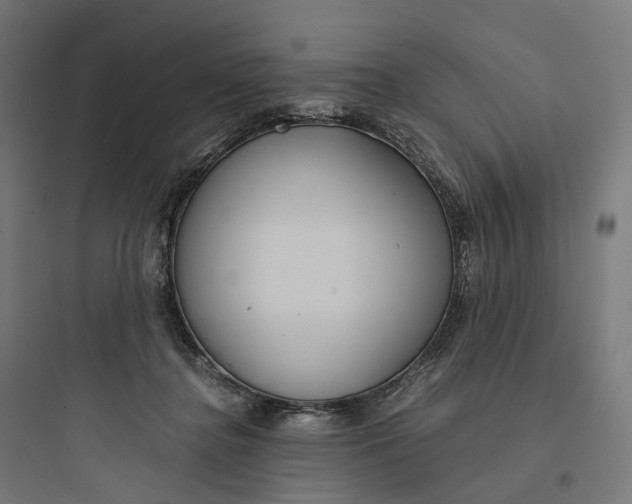 X0000093770364200711061140