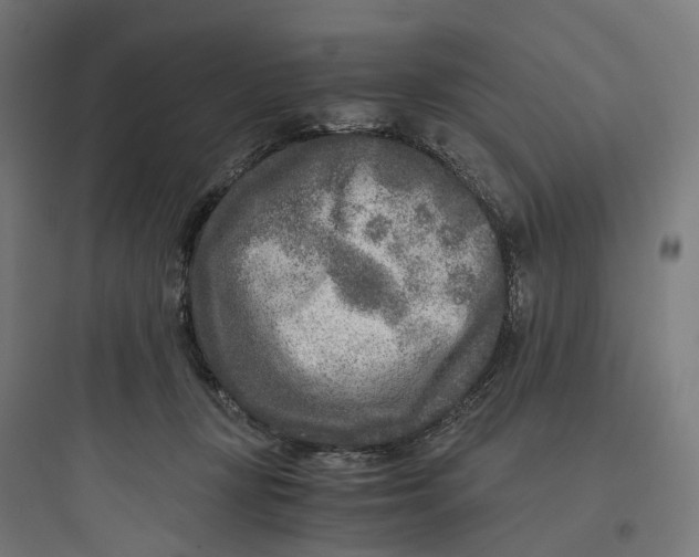 X0000093770367200711061140