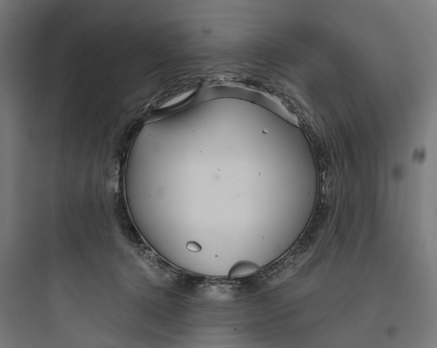 X0000093770368200711061140