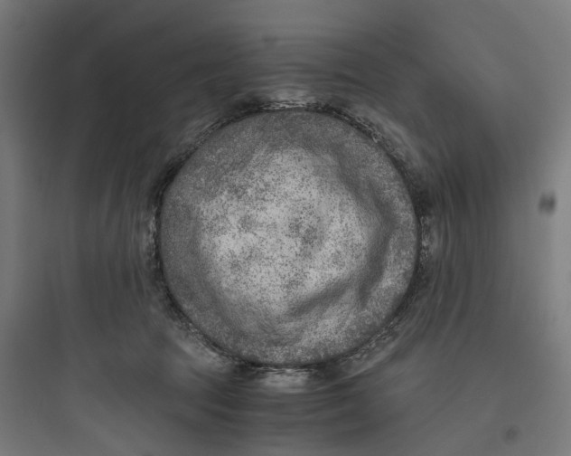 X0000093770369200711061140