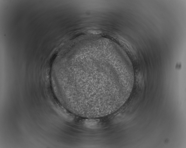 X0000093770373200711061140