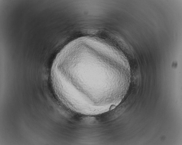 X0000093770374200711061140