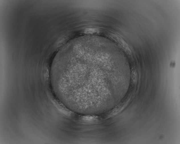 X0000093770375200711061140