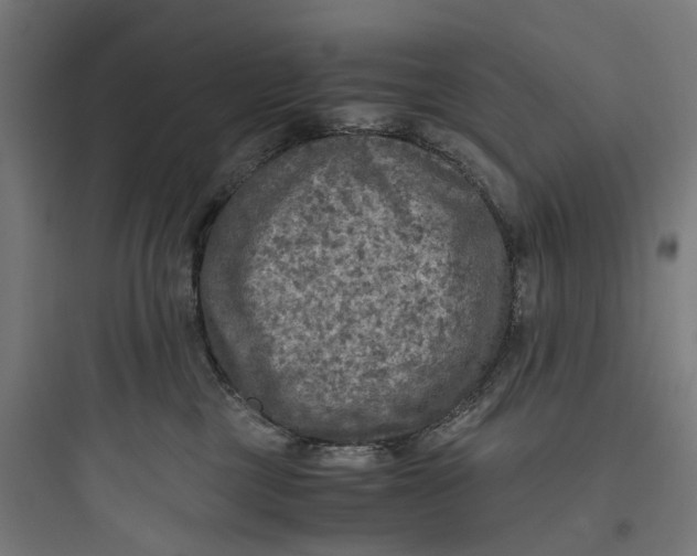 X0000093770377200711061140