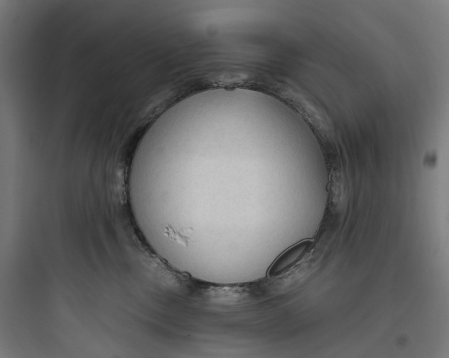 X0000093770378200711061140