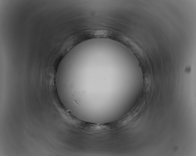 X0000093770379200711061140