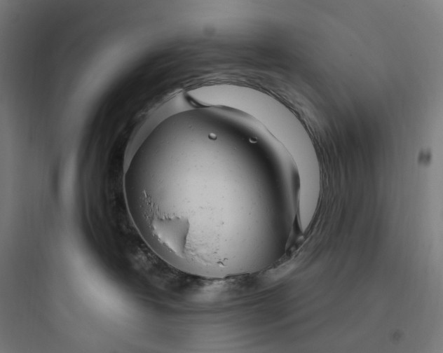 X0000093770382200711061140