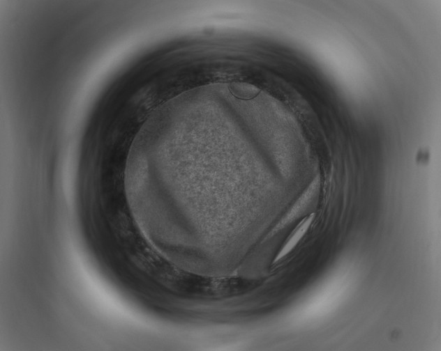 X0000093770383200711061140