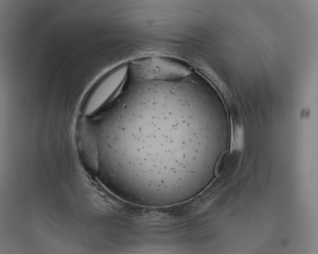 X0000093770387200711061140