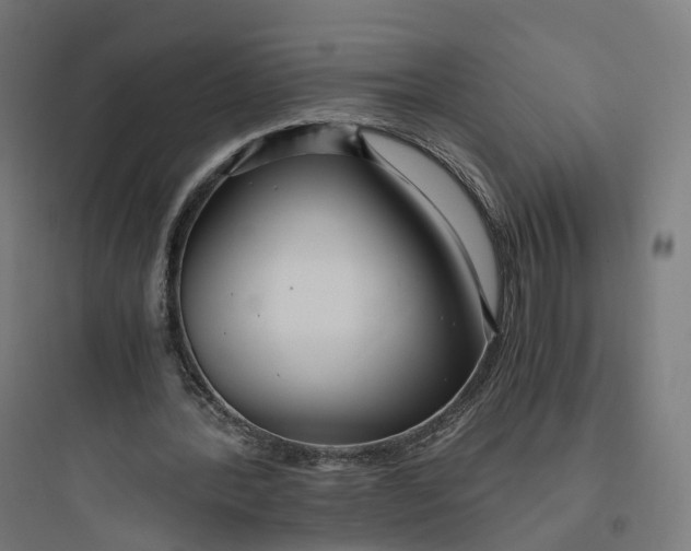 X0000093770388200711061140