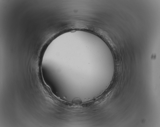 X0000093770395200711061139