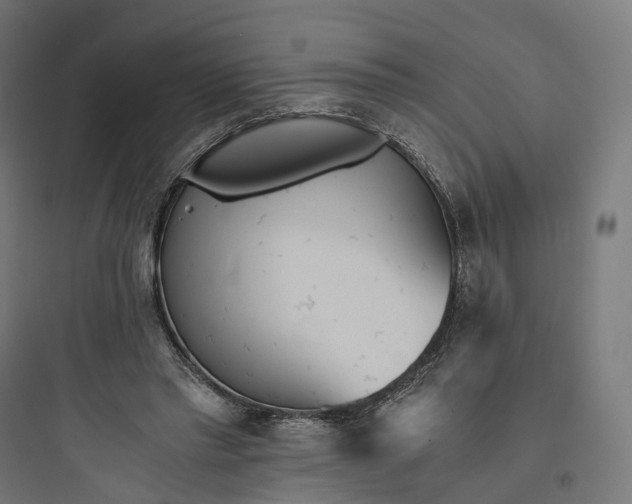 X0000093770397200711061139