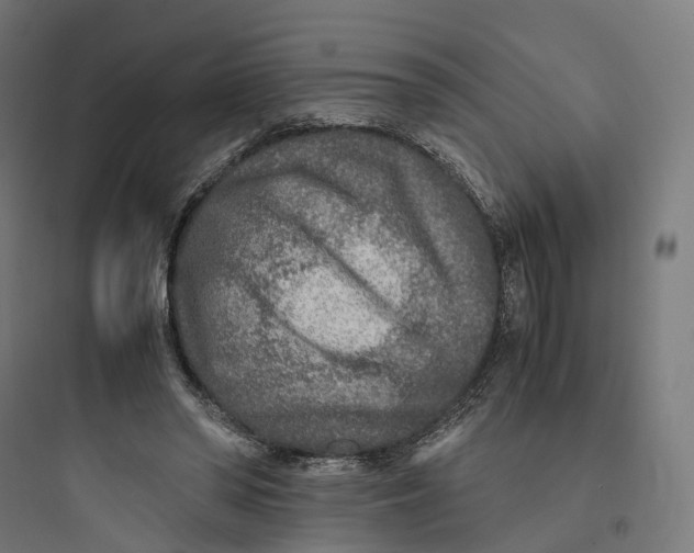 X0000093770398200711061139