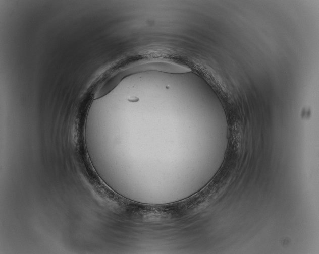 X0000093770400200711061139