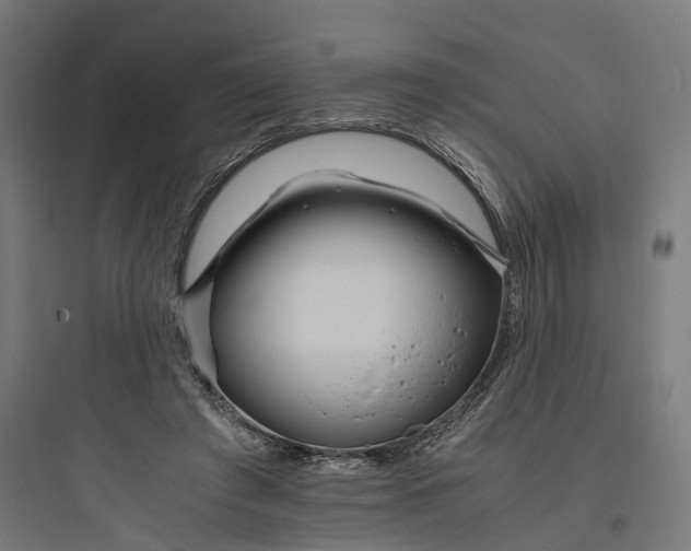 X0000093770401200711061139