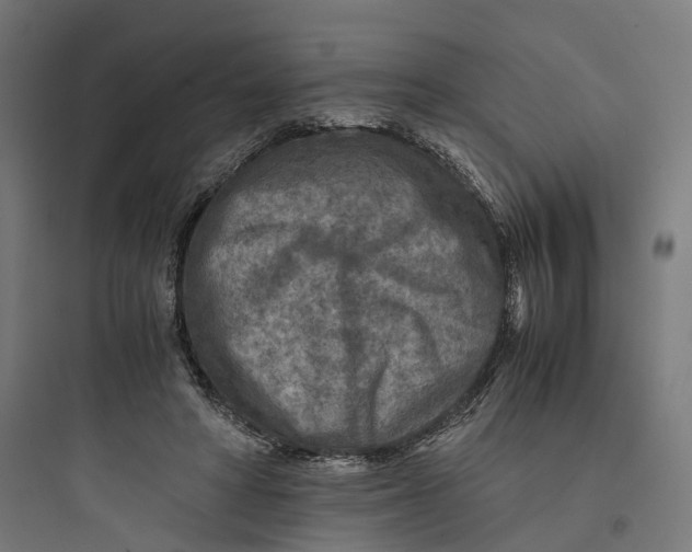 X0000093770402200711061139