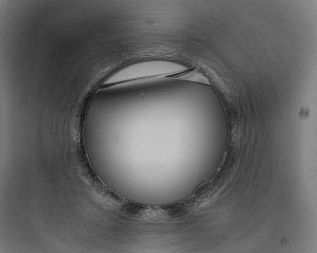 X0000093770403200711061139