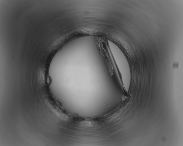 X0000093770404200711061139