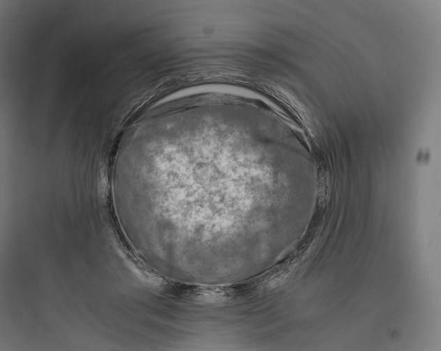 X0000093770405200711061139