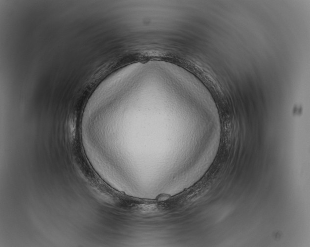 X0000093770406200711061139