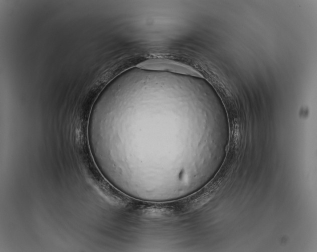 X0000093770408200711061139