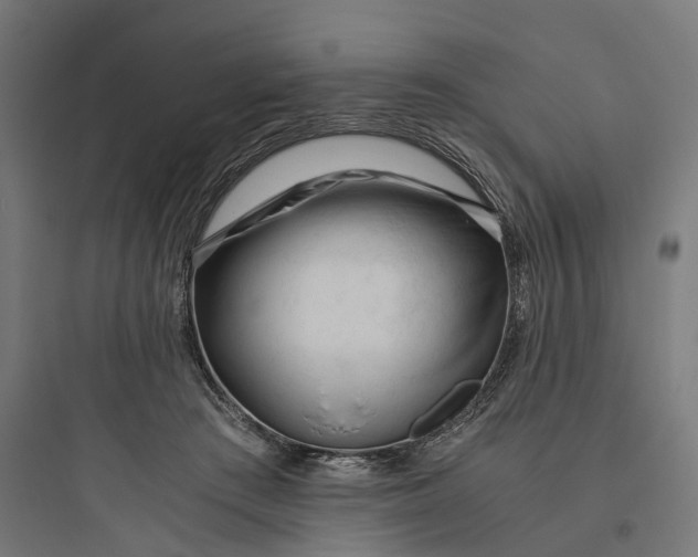 X0000093770409200711061139