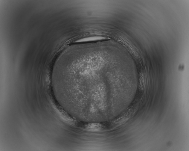 X0000093770410200711061139