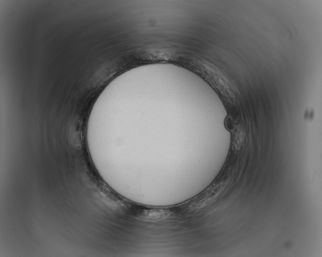 X0000093770414200711061139