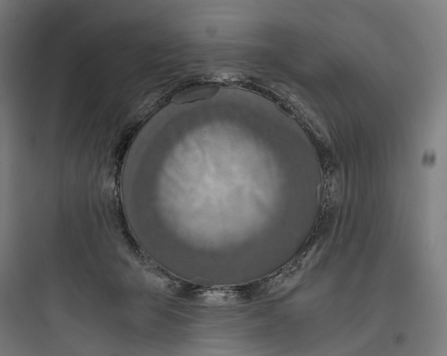 X0000093770415200711061139