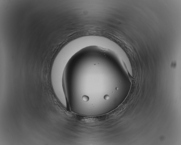 X0000093770417200711061139