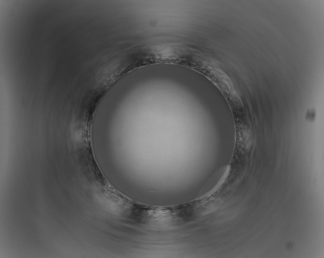 X0000093770419200711061139