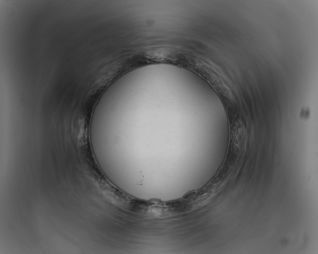 X0000093770420200711061139