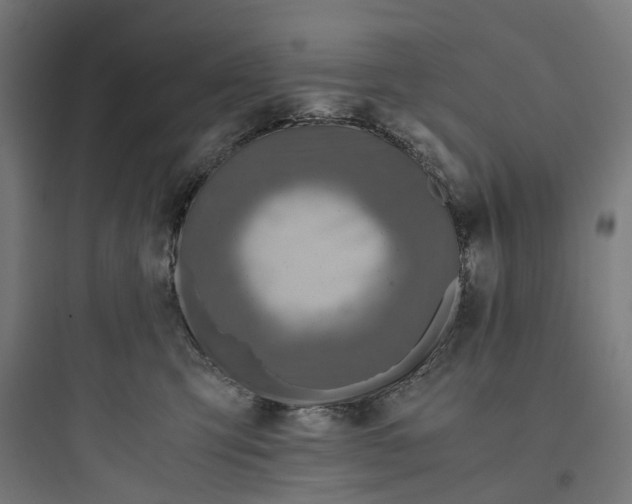 X0000093770423200711061139