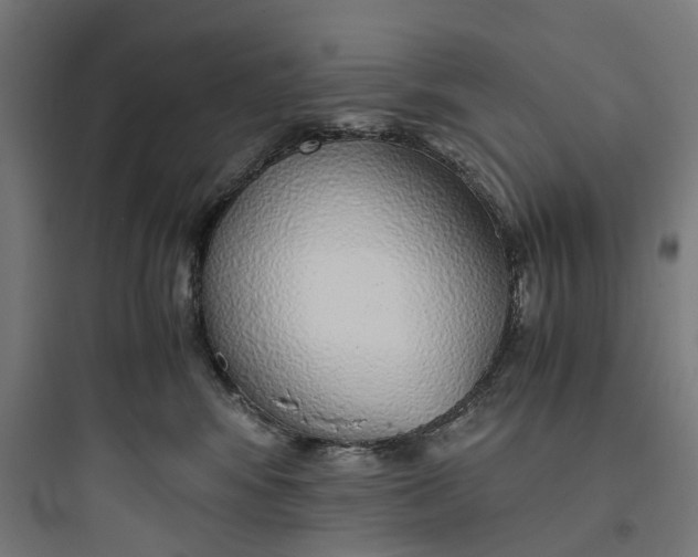 X0000093770424200711061139