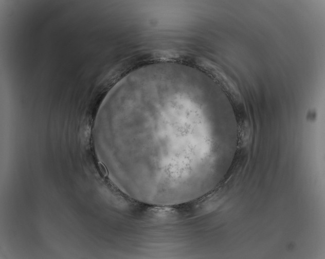 X0000093770427200711061139