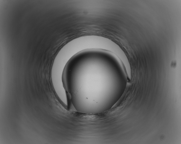 X0000093770428200711061139