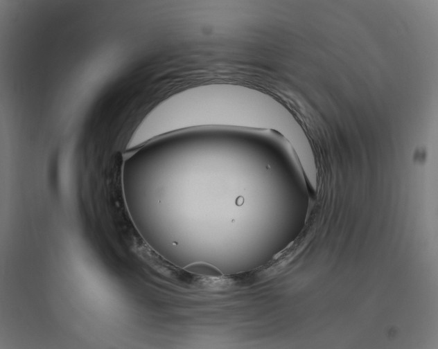 X0000093770429200711061139