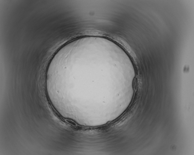 X0000093770433200711061138