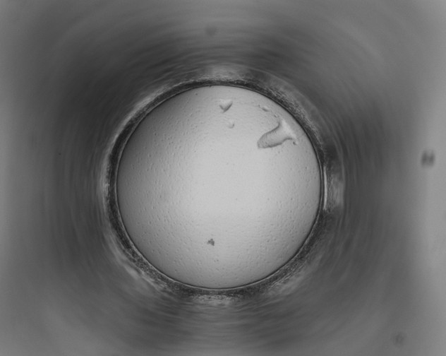 X0000093770435200711061138