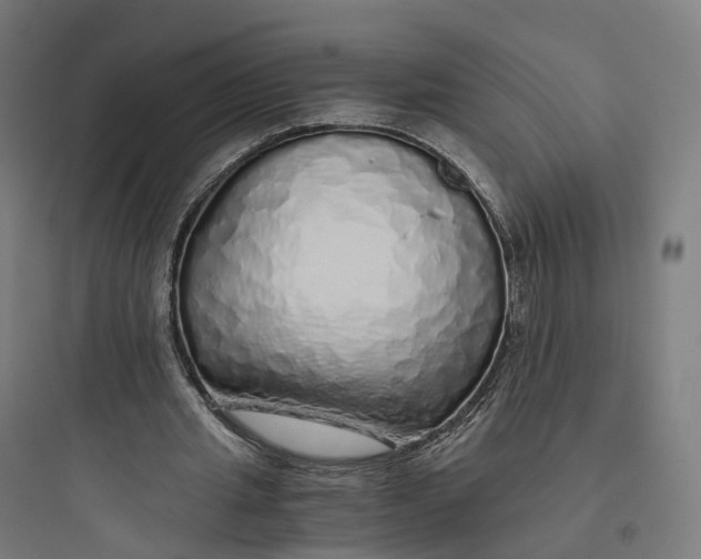 X0000093770437200711061138