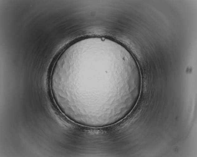 X0000093770439200711061138