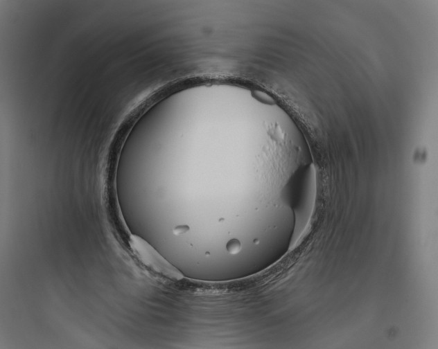 X0000093770440200711061138