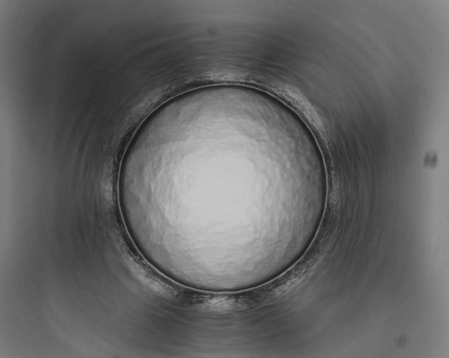 X0000093770441200711061138