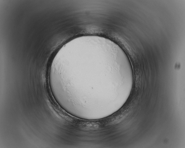 X0000093770443200711061138