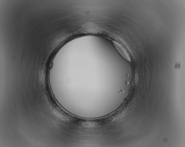 X0000093770444200711061138