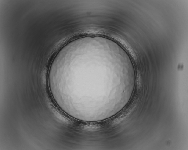 X0000093770445200711061138