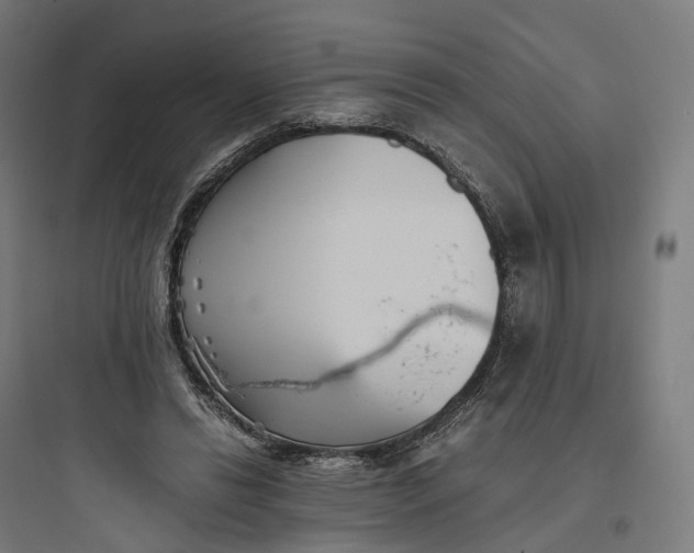 X0000093770446200711061138