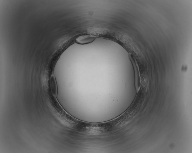 X0000093770448200711061138