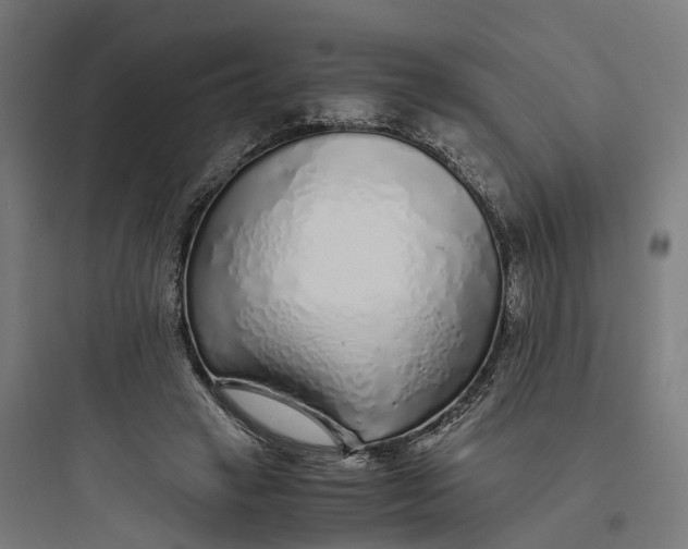 X0000093770449200711061138